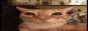 jsonp