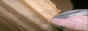 senko